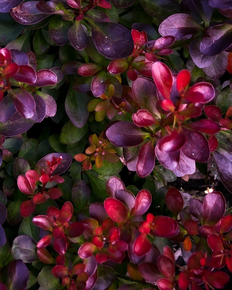 Photograph by Ирина Панюк