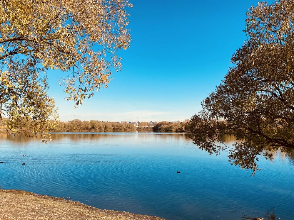 Photograph by Дарья Самойленко