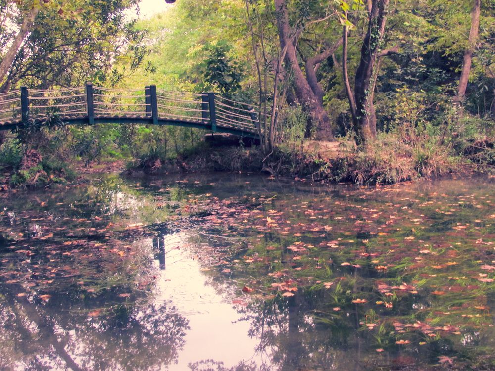 Photograph by Alp Aysgl