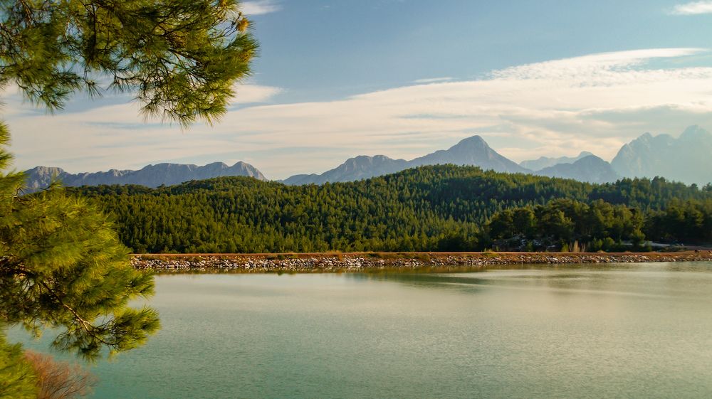 Photograph by Alp Aysgl