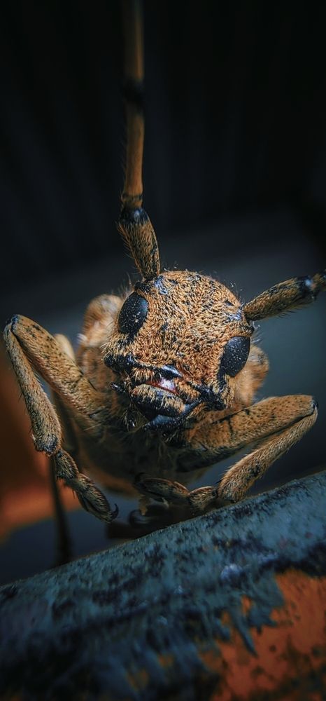 Photograph by Konstantin Martynov