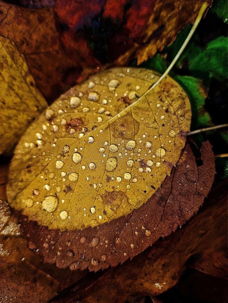 Photograph by Анастасия Макарова