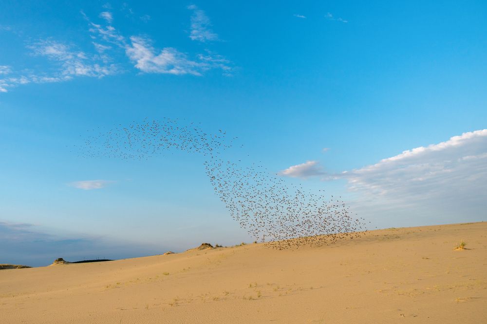 Photograph by Татьяна Рутковская