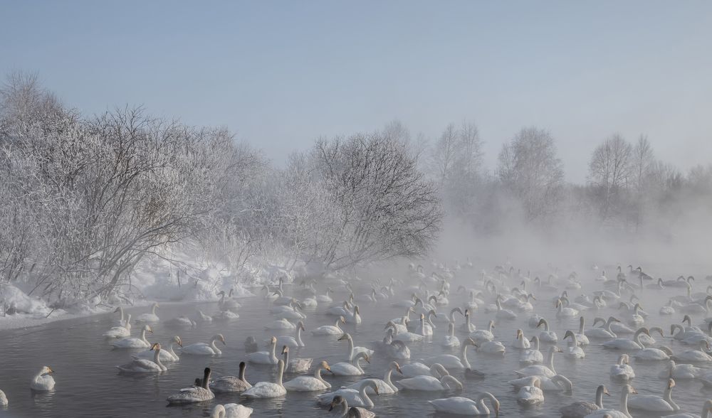 Фотография автора Andrey Pristyazhnyuk