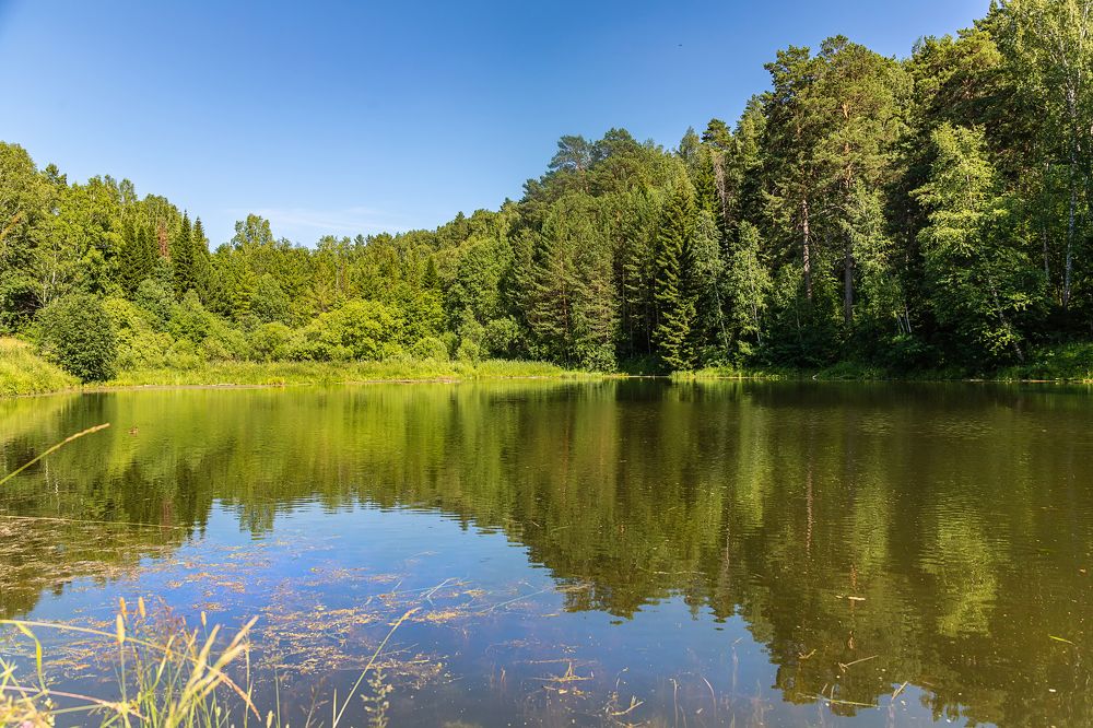 Фотография автора Andrey Pristyazhnyuk