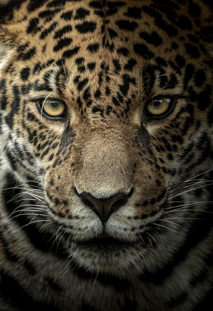 Photograph by Markéta Mastešová