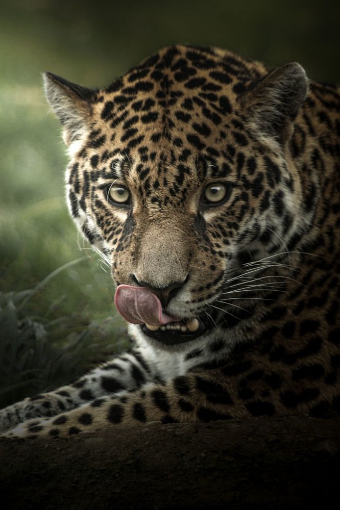 Photograph by Markéta Mastešová