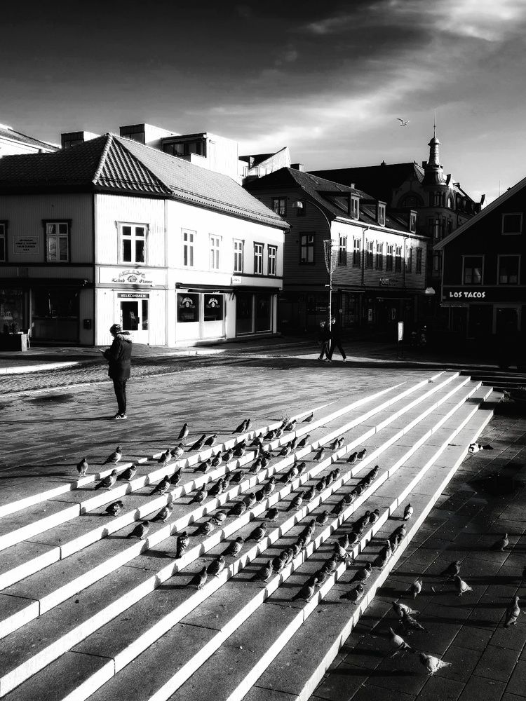 Фотография автора Alina Filimonova