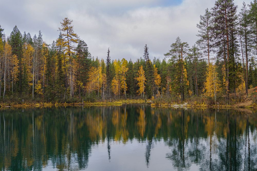 Photograph by Max_niksh