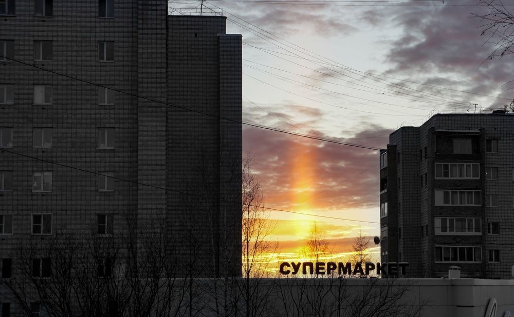 Photograph by Max_niksh