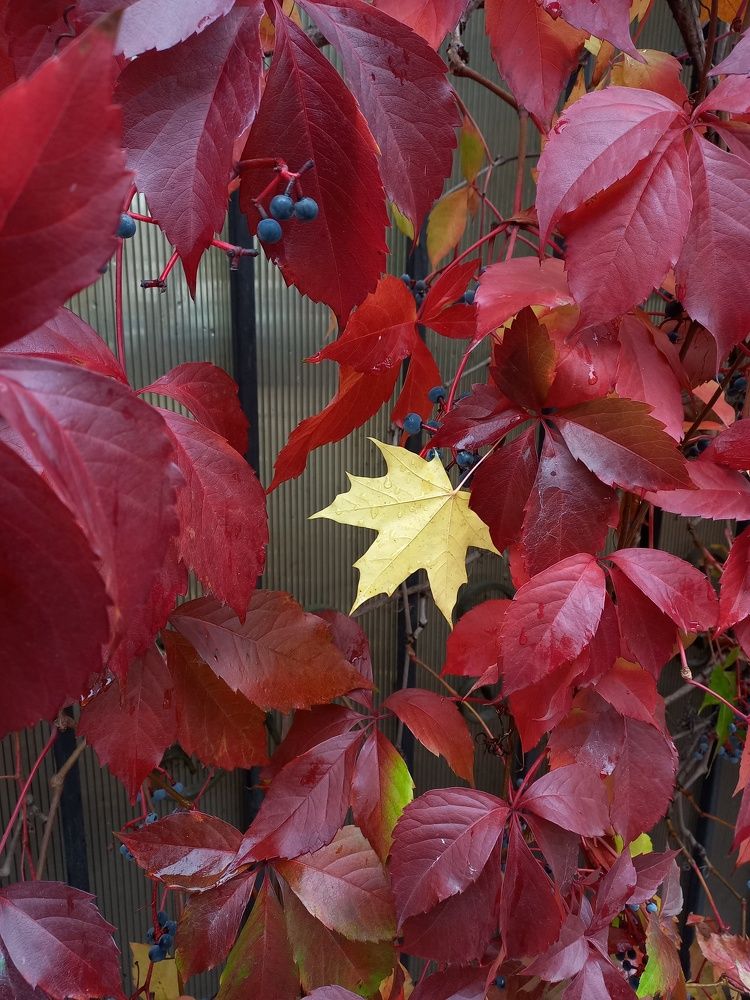 Photograph by Татьяна Рутковская