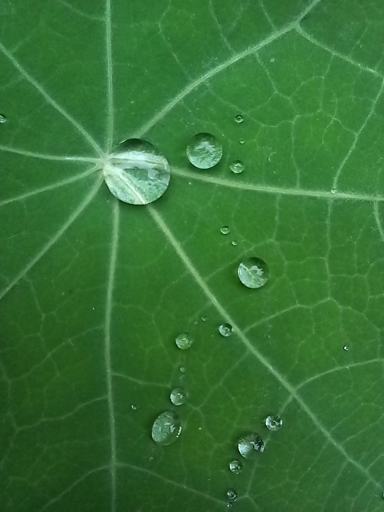 Photograph by Татьяна Рутковская