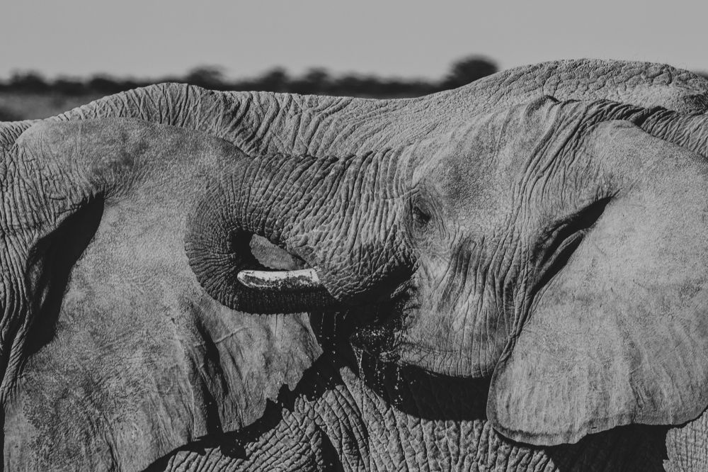 Фотография автора Cláudia Maria Fialho Garcia