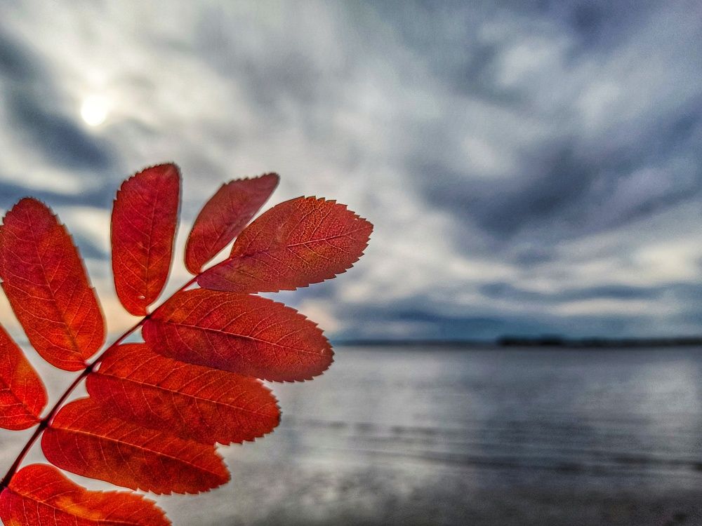 Photograph by Ольга Ситникова