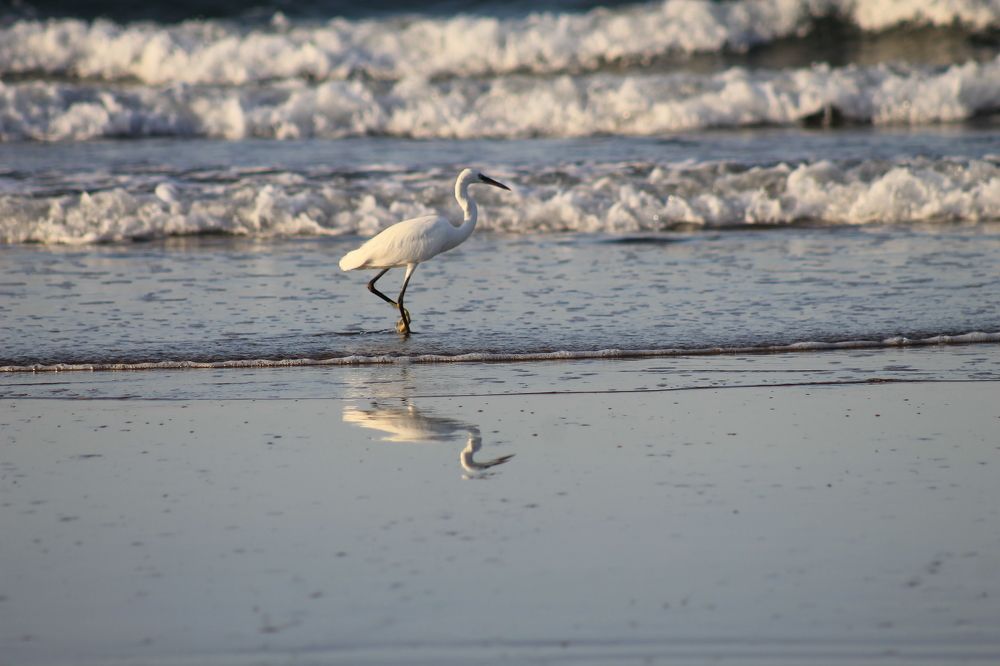 Photograph by Waleed Yousuf Alwahaibi