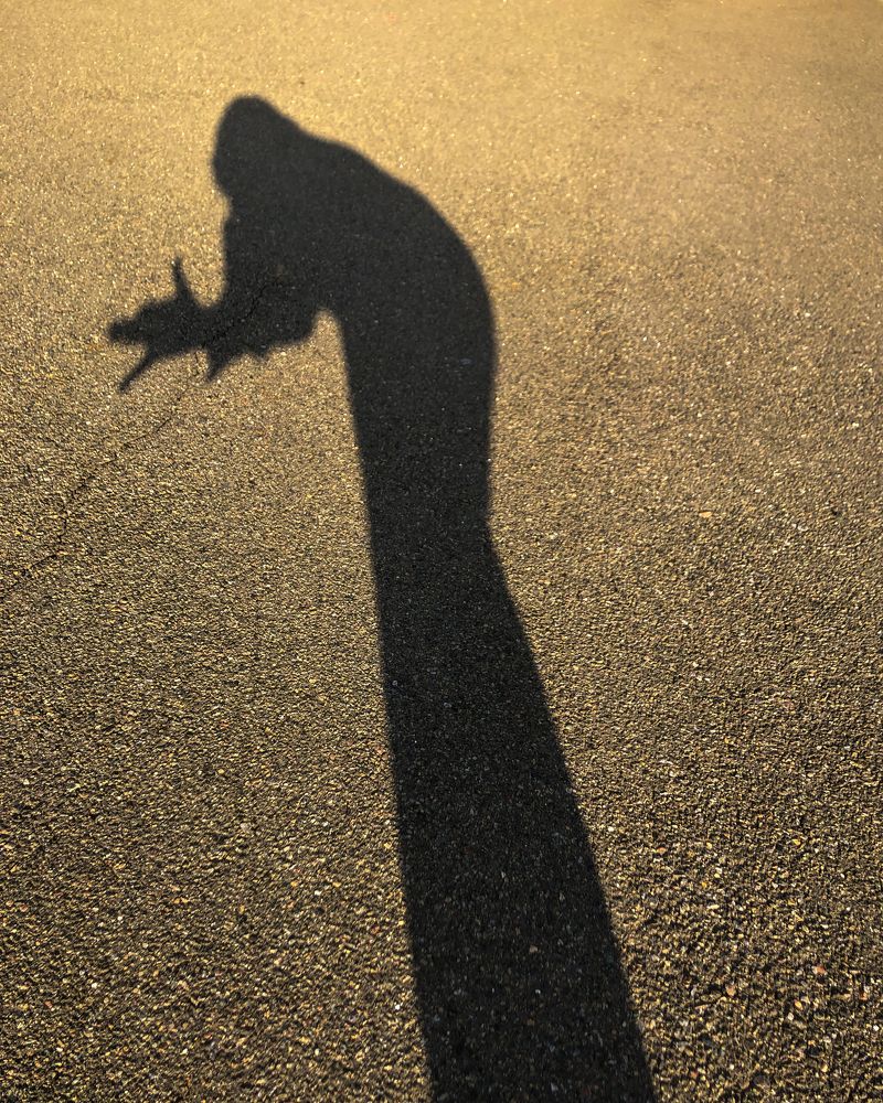 Photograph by Ирина Панюк