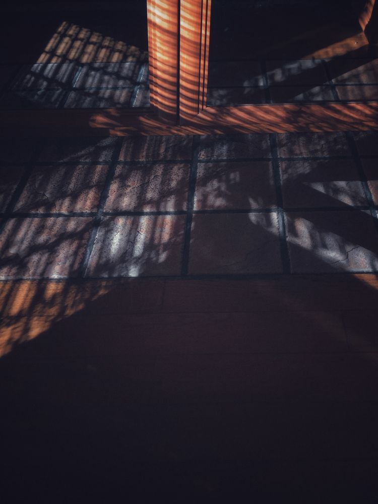 Photograph by Ирина Панюк