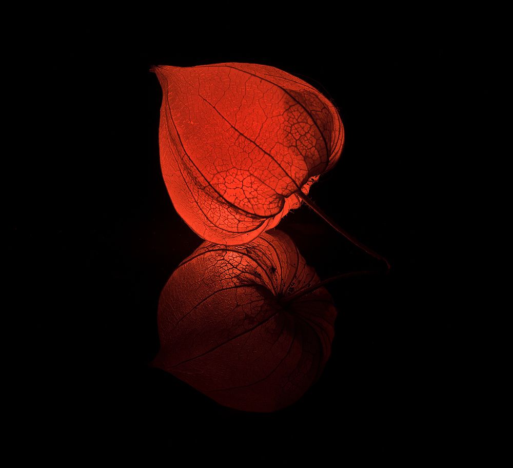 Photograph by Анатолий Плечистый