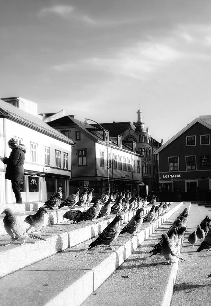 Фотография автора Alina Filimonova