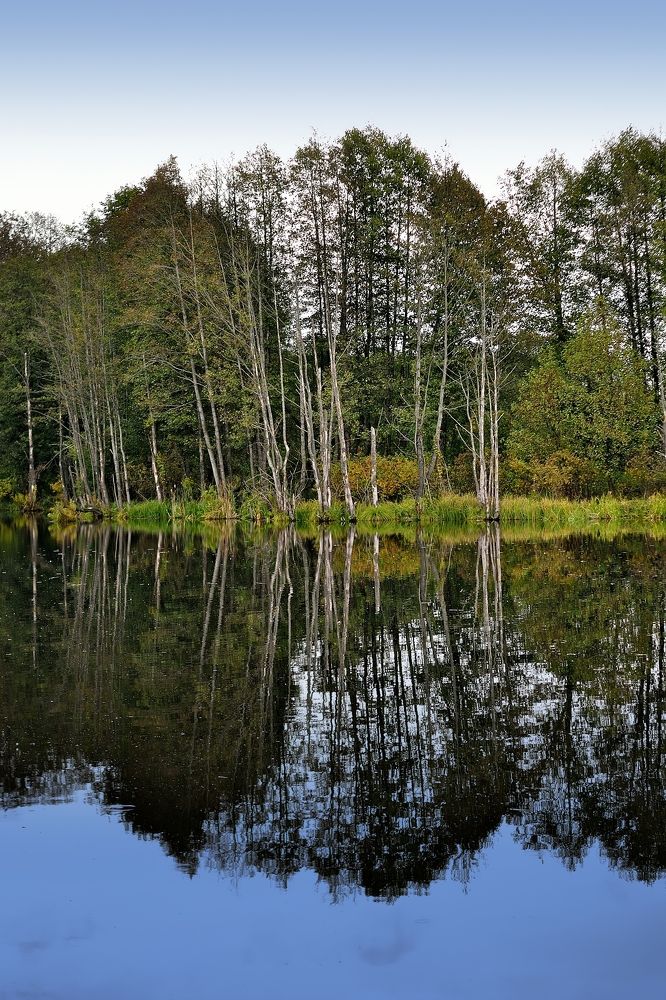 Фотография автора Роман Володащик