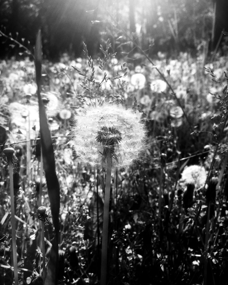 Photograph by Anna Krasova