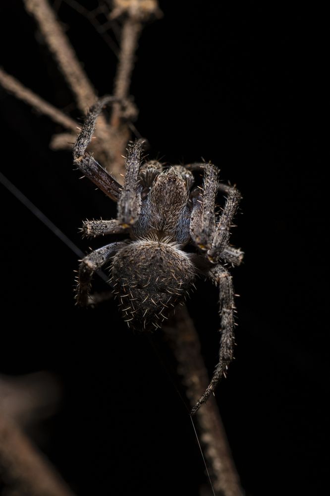 Photograph by Sameer Bhalekar