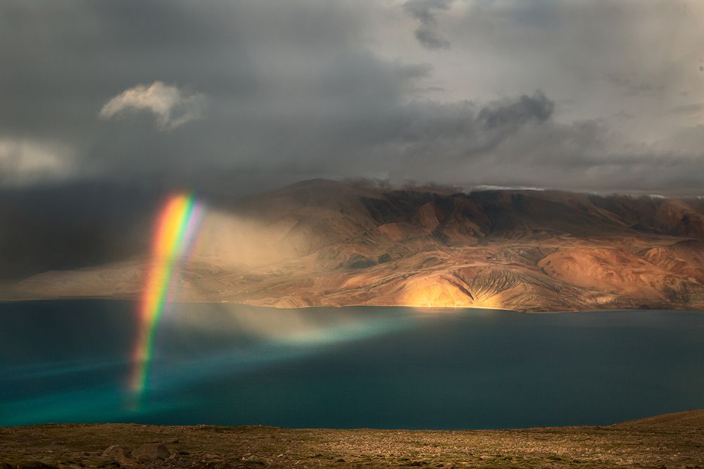 Photograph by Abhirup Bose