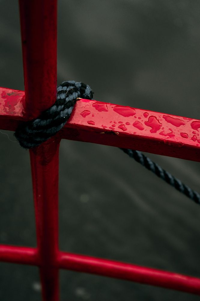 Photograph by Ирина Шпак