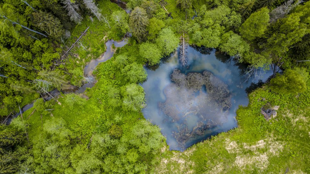 Photograph by Руслан Ибрагимов