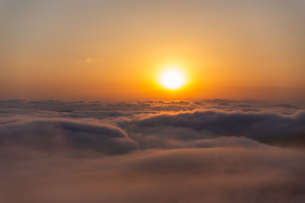 Photograph by Никита Голубев