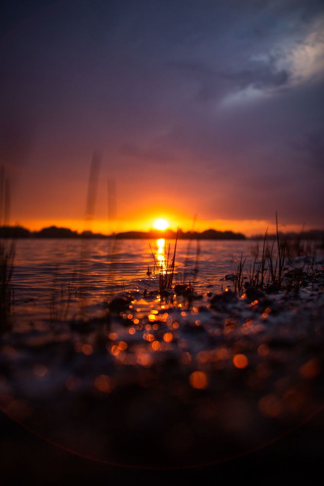 Photograph by Никита Голубев