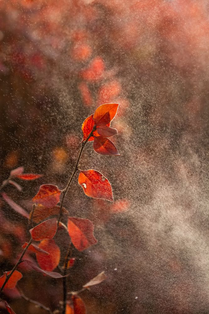 Фотография автора Анастасия