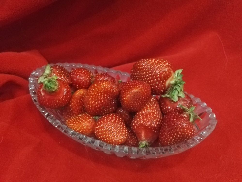 Photograph by Тамара Багровская