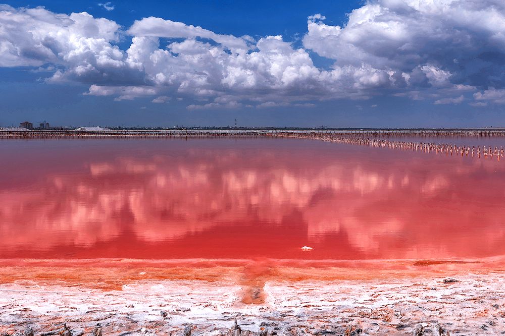 Photograph by Наталья Антипас