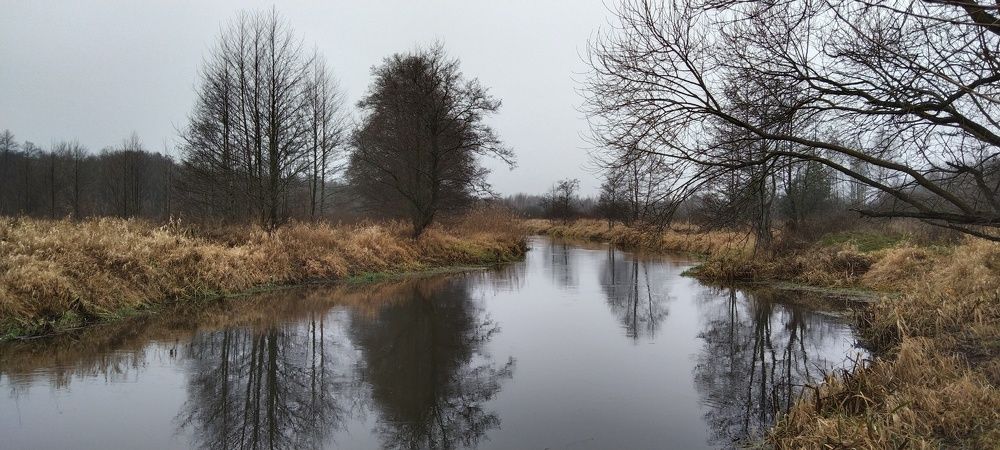 Plisa river