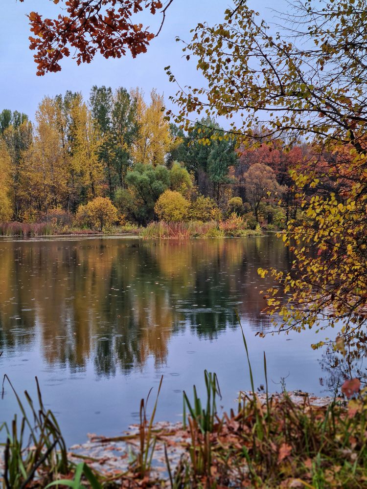 Photograph by Людмила Григорьева