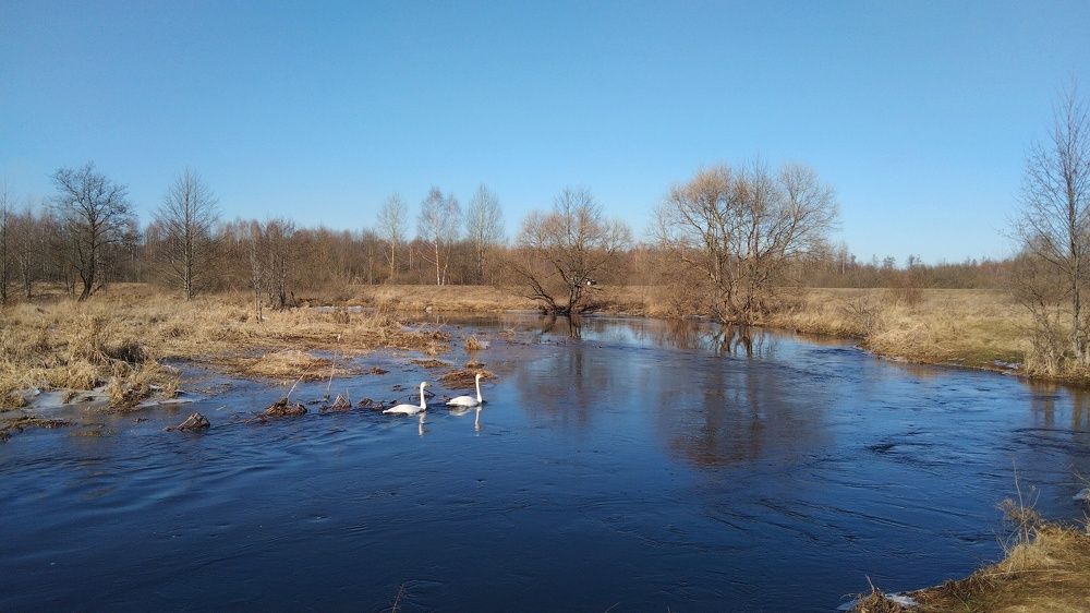 Plisa river.