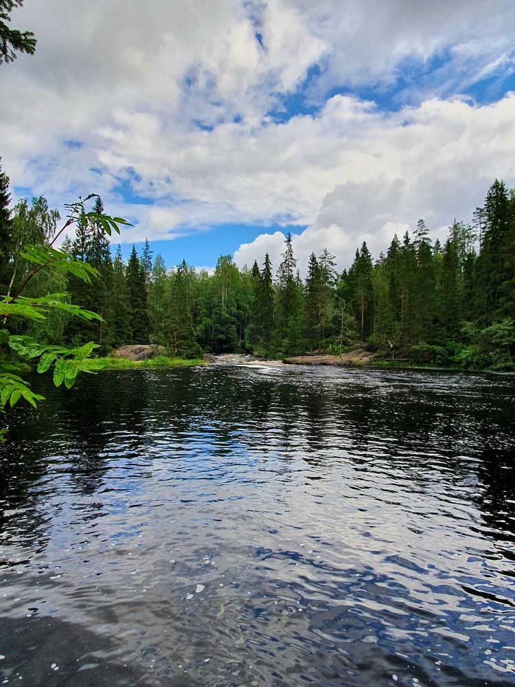 Фотография автора Наталья Смекалина