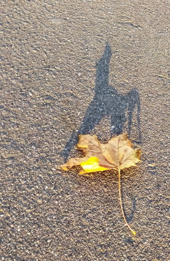 Photograph by Любовь Сухова