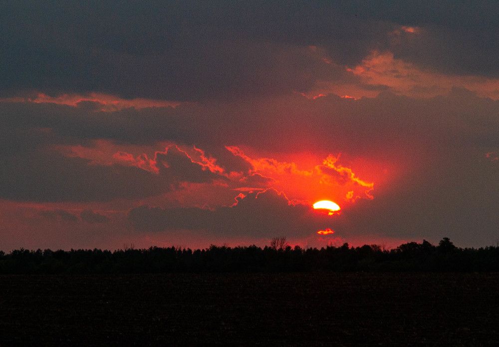 Фотография автора Алексей Тимофеев