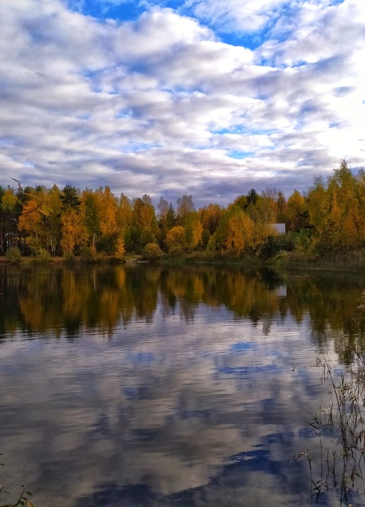 Photograph by Любовь Сухова