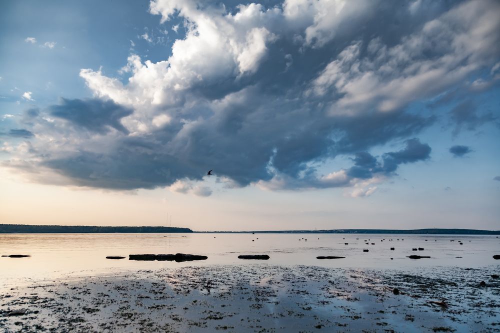 Фотография автора Евгений Даренский
