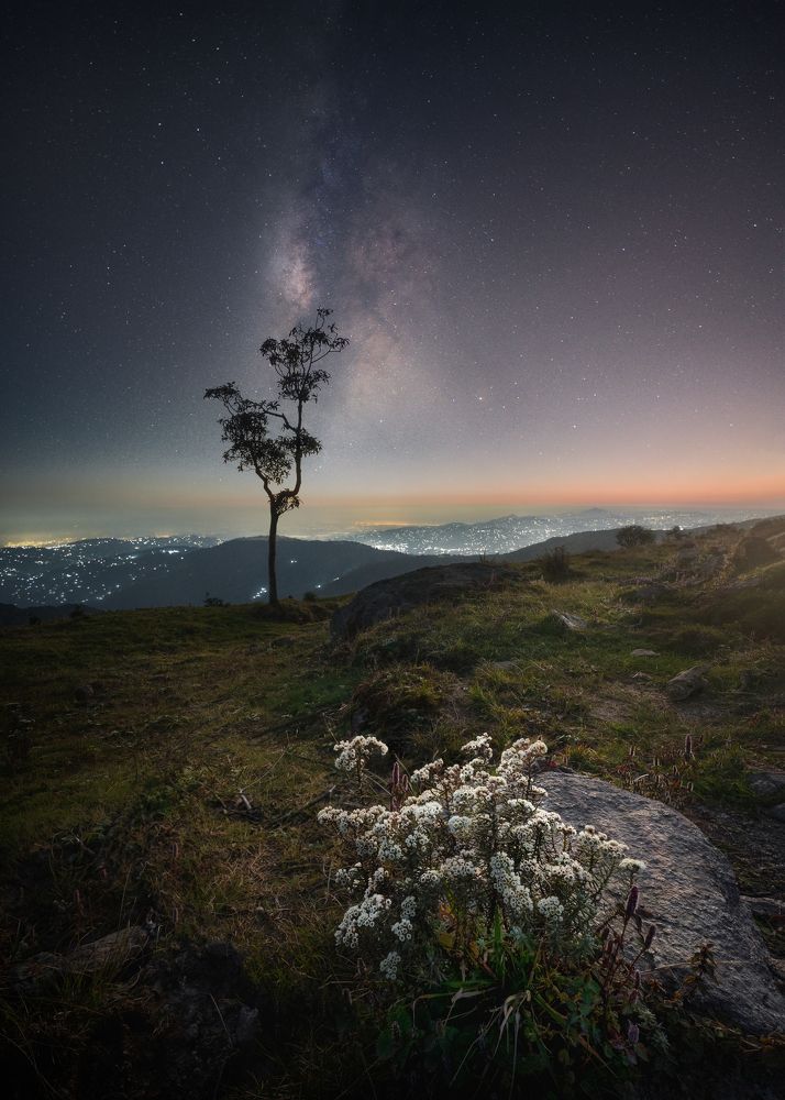 Photograph by Ranit Dholey