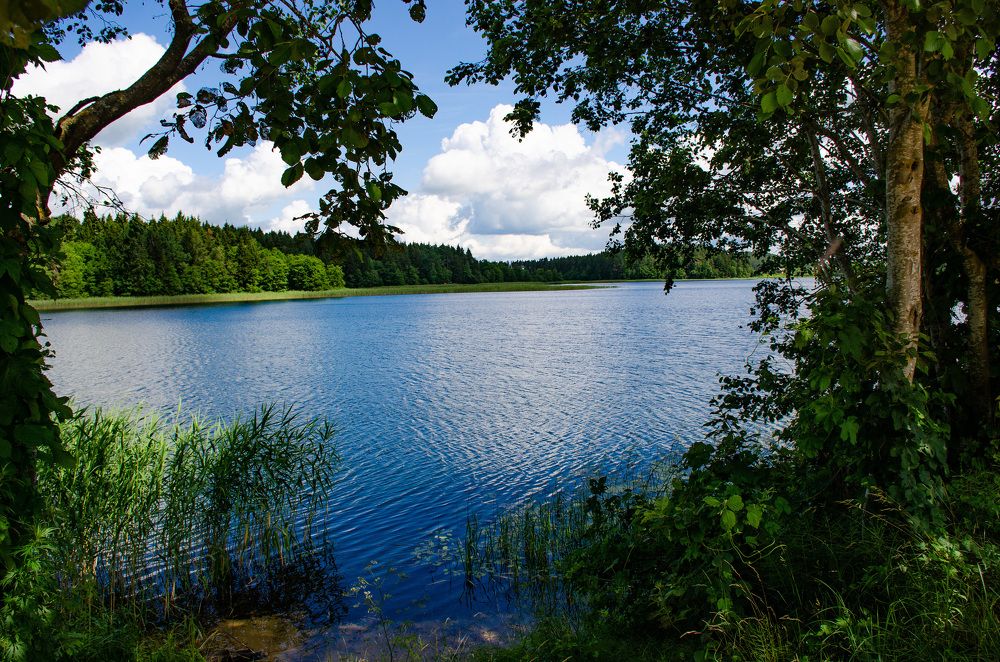 Photograph by Михаил