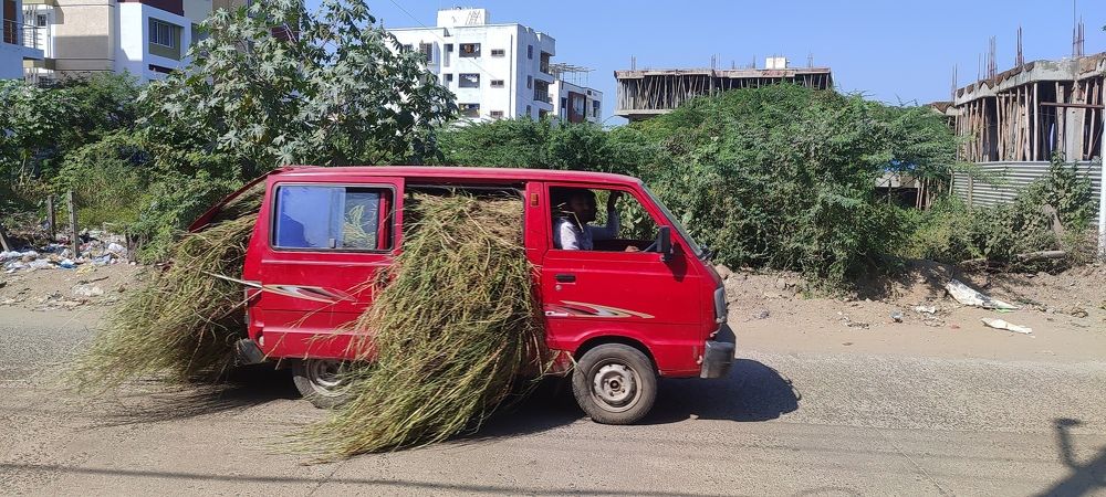 Photograph by Sandip Nalawade