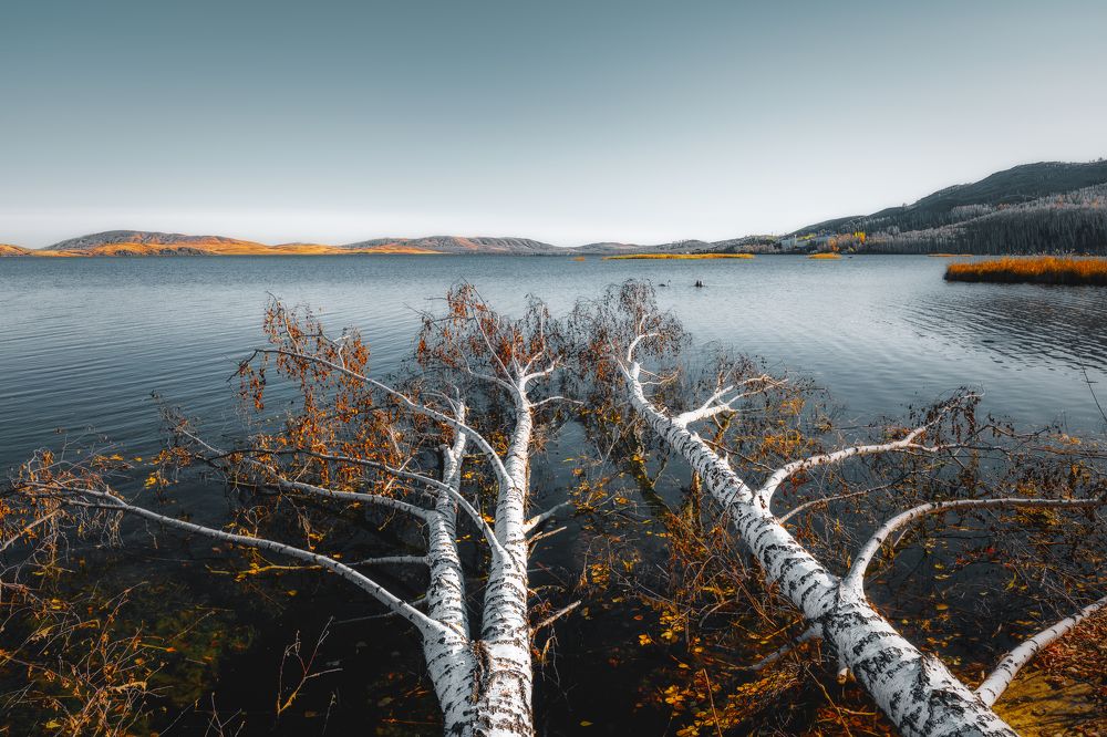 Photograph by Ivan Sazykin