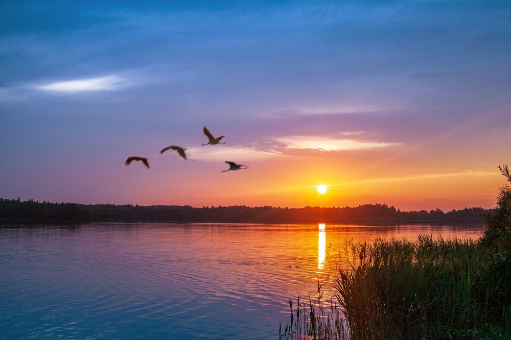 Photograph by Айвар Удрис