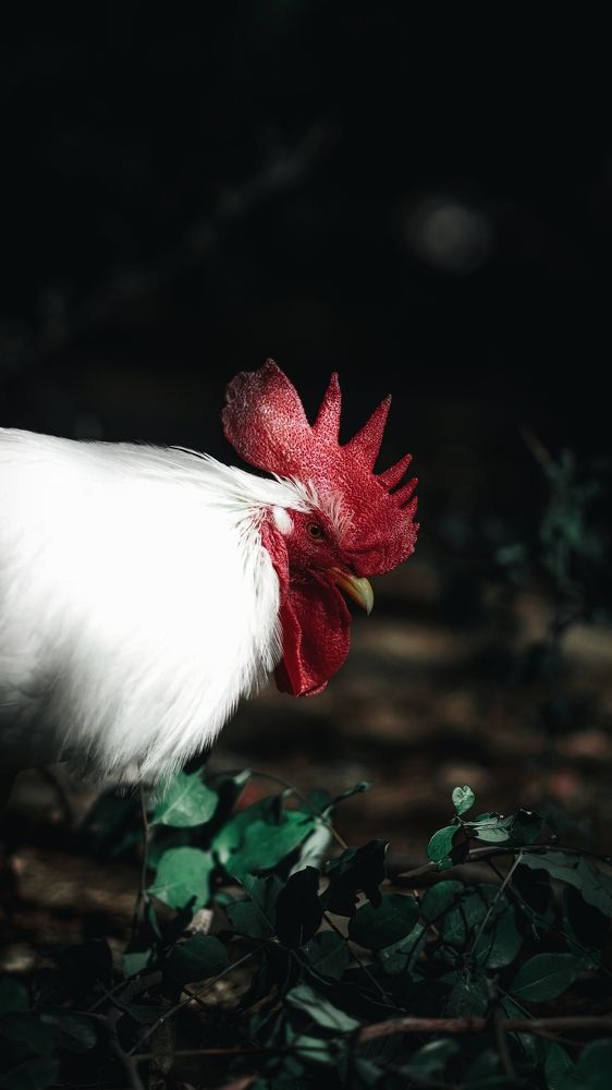 Photograph by Владислав Данилов