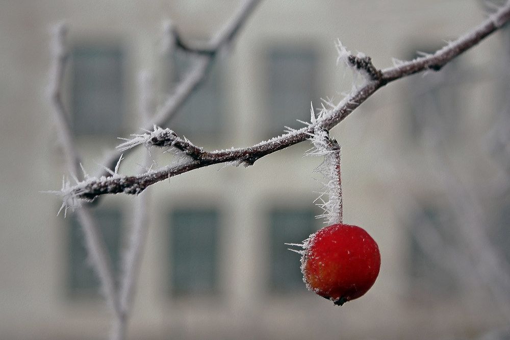 Photograph by Ольга Заболотская