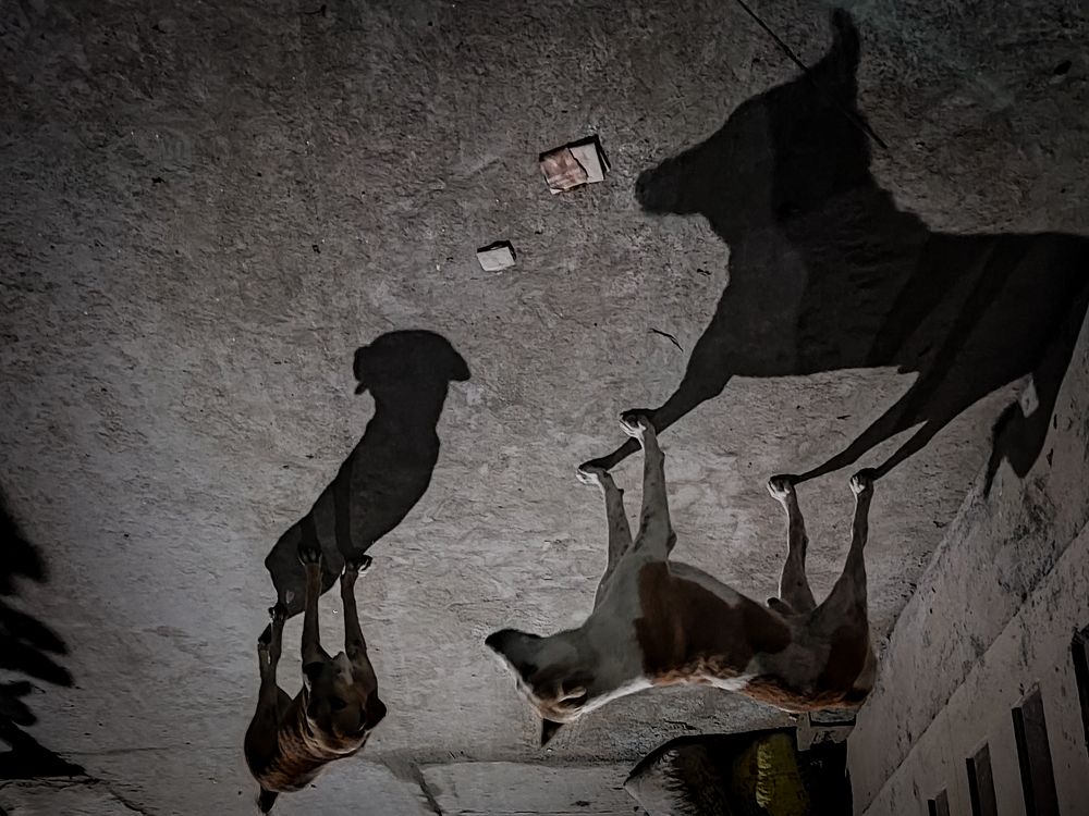 Photograph by Subhadip Ghosh